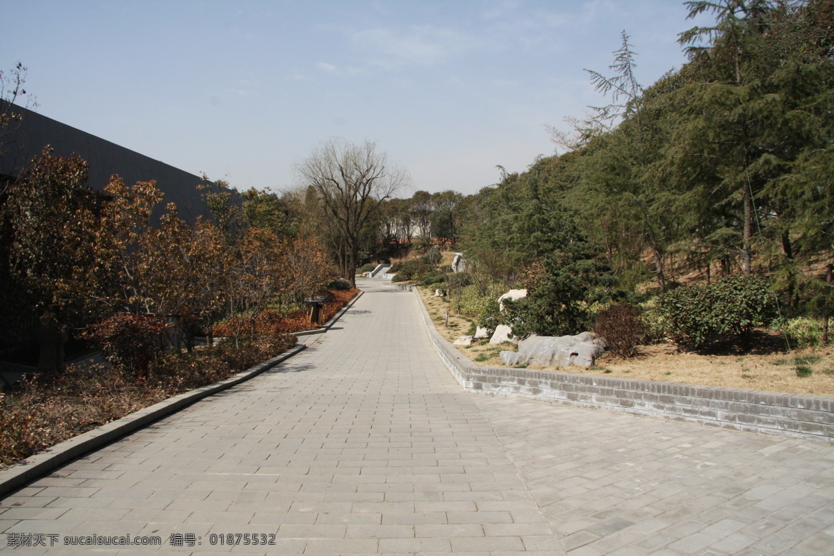 竹林寺风景 徐州 楚王陵 竹林寺 松之自然风景 国内旅游 旅游摄影