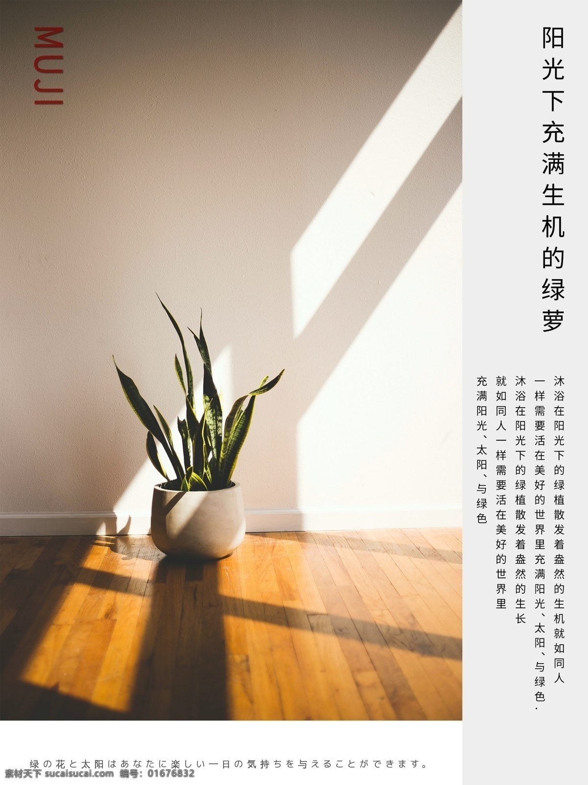 muji 风 极 简 性冷淡 绿 萝 植物 海报 muju 极简 性冷淡风 绿萝 阳光