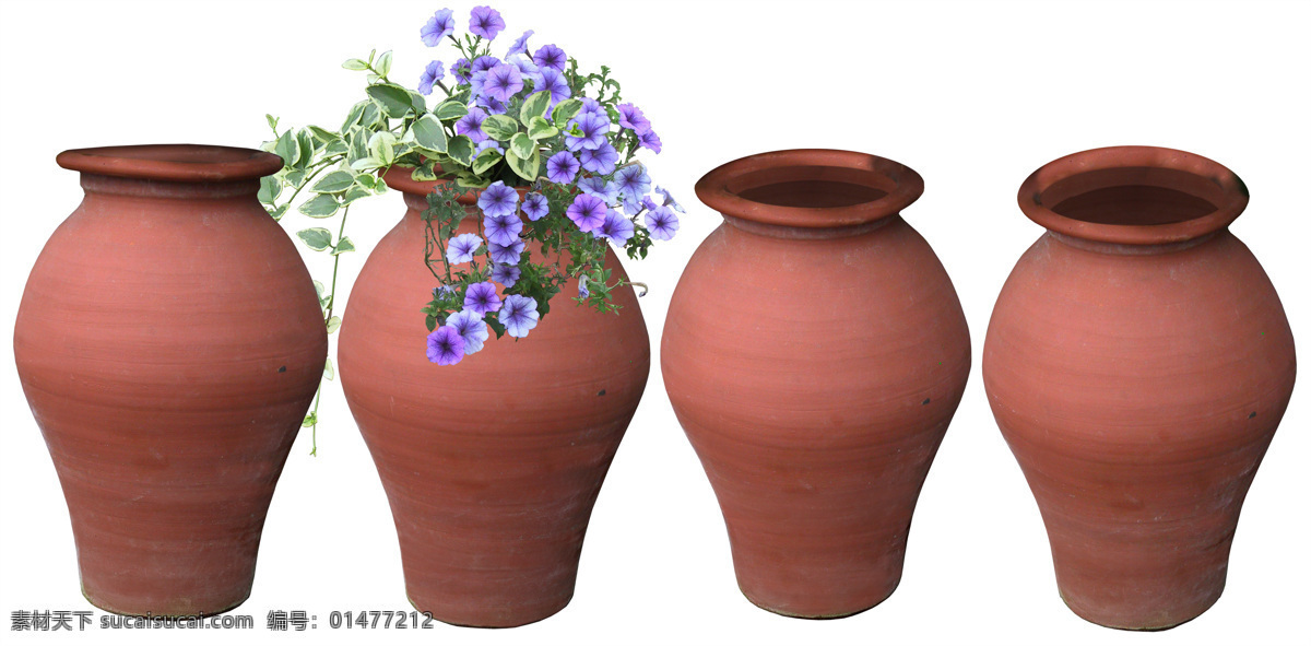 高清花大图 花 花儿 花盆图片 木制花盆 设计图 陶瓷花盆 花盆图片库 塑料花盆 木花盆 花盆 图片库
