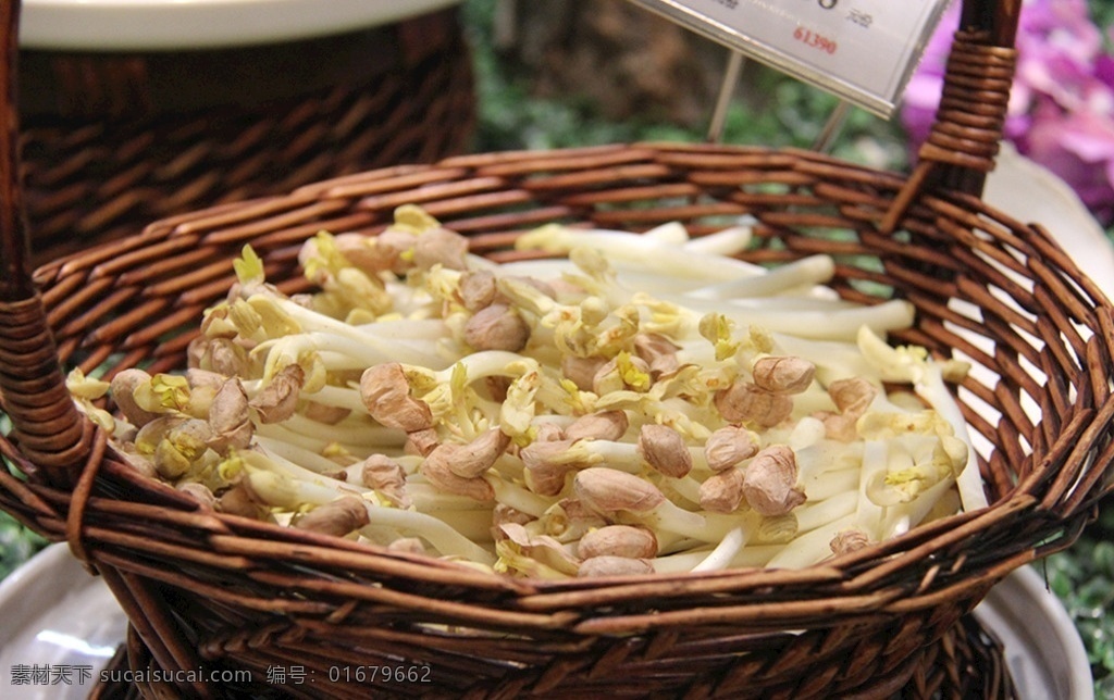 花生芽 野菜 花篮 春天 菜品 餐饮美食 食物原料