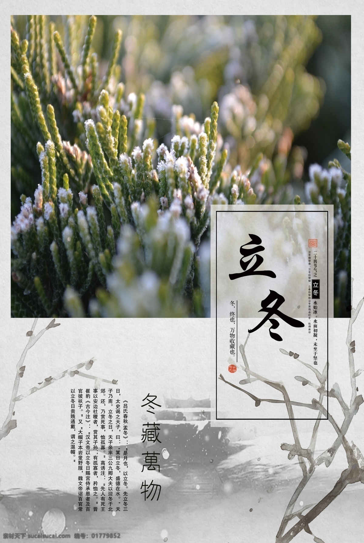 立冬 海报 节气 水墨画 植物 冬藏万物 节气海报 分层