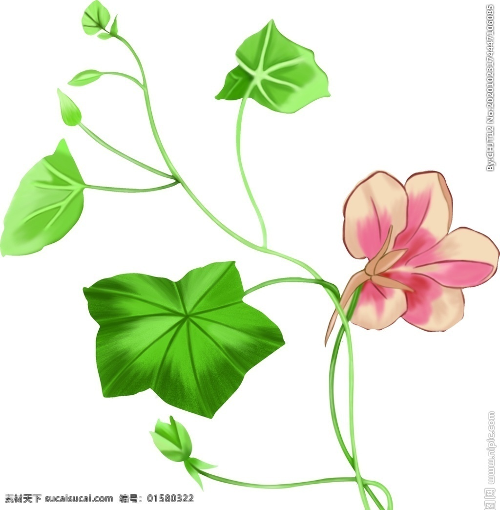绿色 手绘 花 手绘花 花卉 数码印花 高清绘花 水彩花 玫瑰花 手绘花朵 生物世界 花草