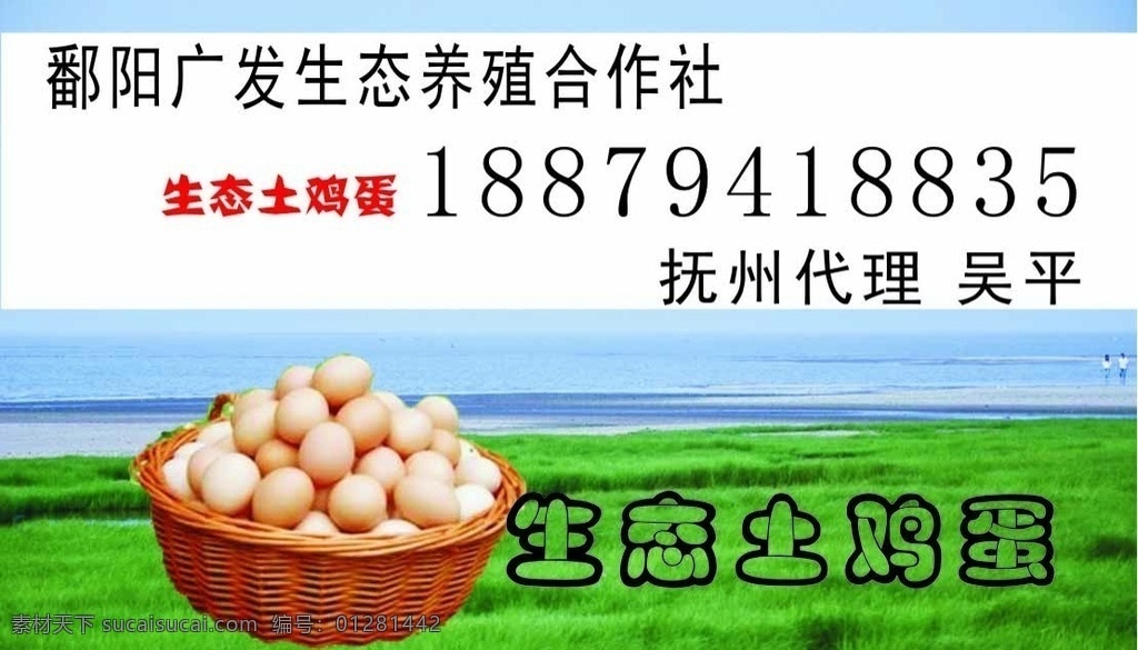 鸡蛋名片 鸡蛋 名片 生态 鄱阳 代理 模板 名片卡片