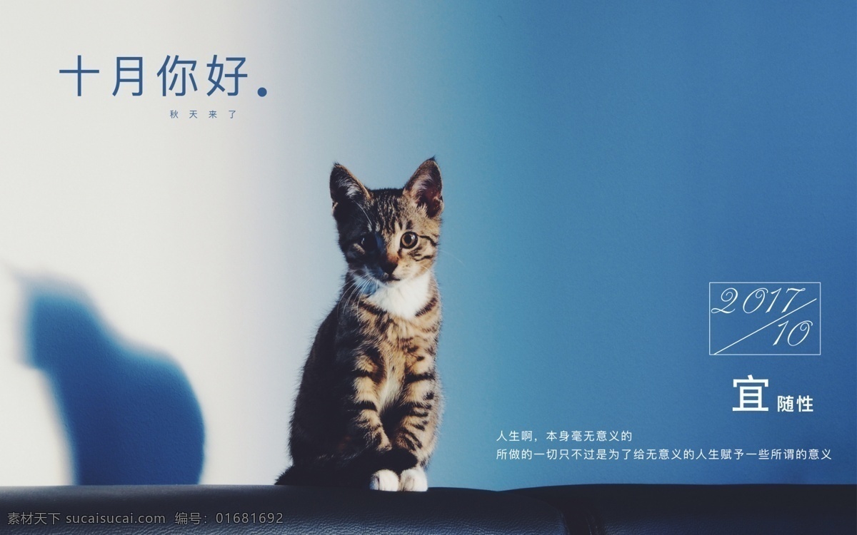 猫咪 十月 你好 日历 海报 唯美 微 信 配 图 小清新 创意海报 可爱 微信配图 微博配图 走心 文艺 商业海报 早安 十月你好 文案 美图 优美图片 横版海报 简约