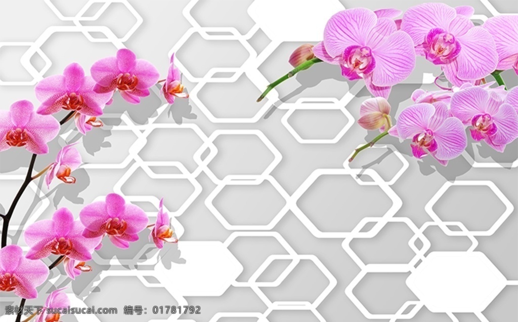 蝴蝶兰 六边形 电视 背景 墙 现代简约 立体 简约背景墙 简约客厅 中式客厅 客厅装修 客厅沙发墙 客厅背景墙 中式背景墙 卧室 共享作品 分层