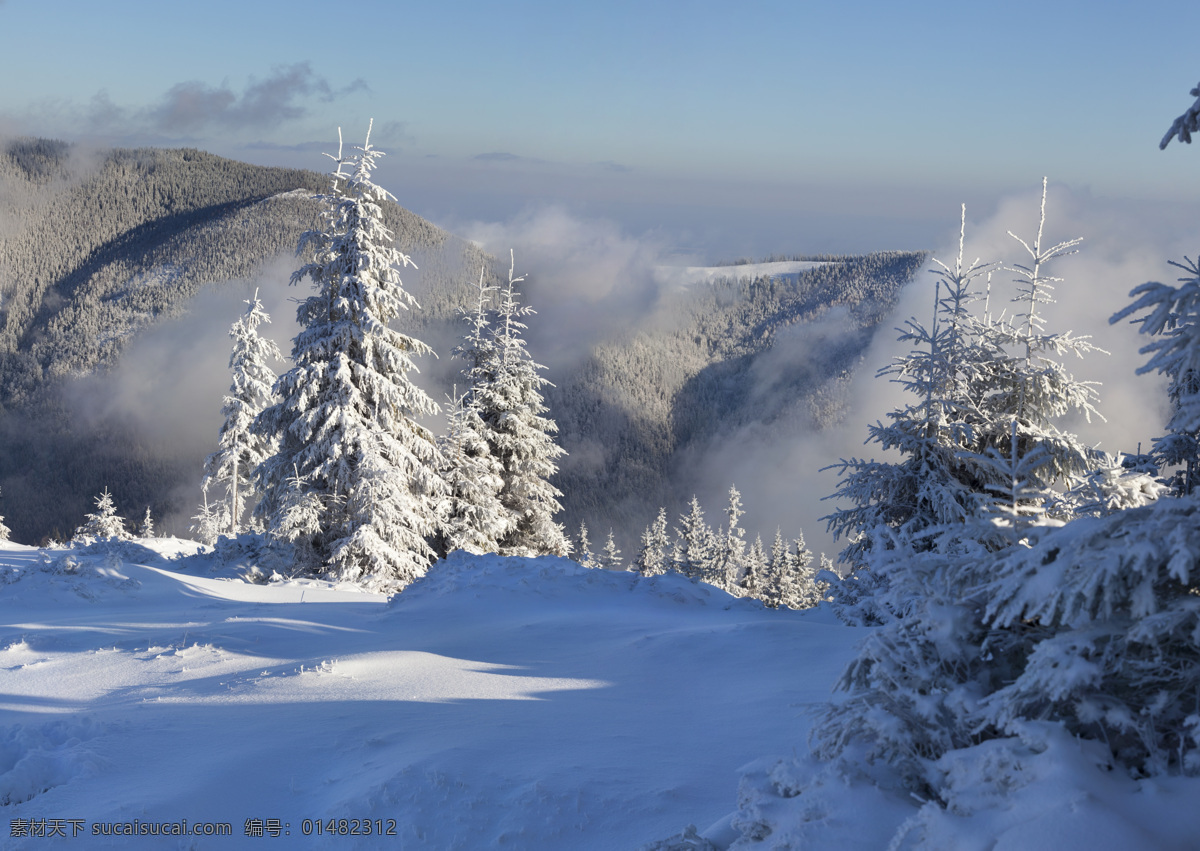 美丽 树林 雪景 冬天雪景 雪地 冬季雪景 树林雪景 风景摄影 美丽风景 自然风景 自然景观 蓝色