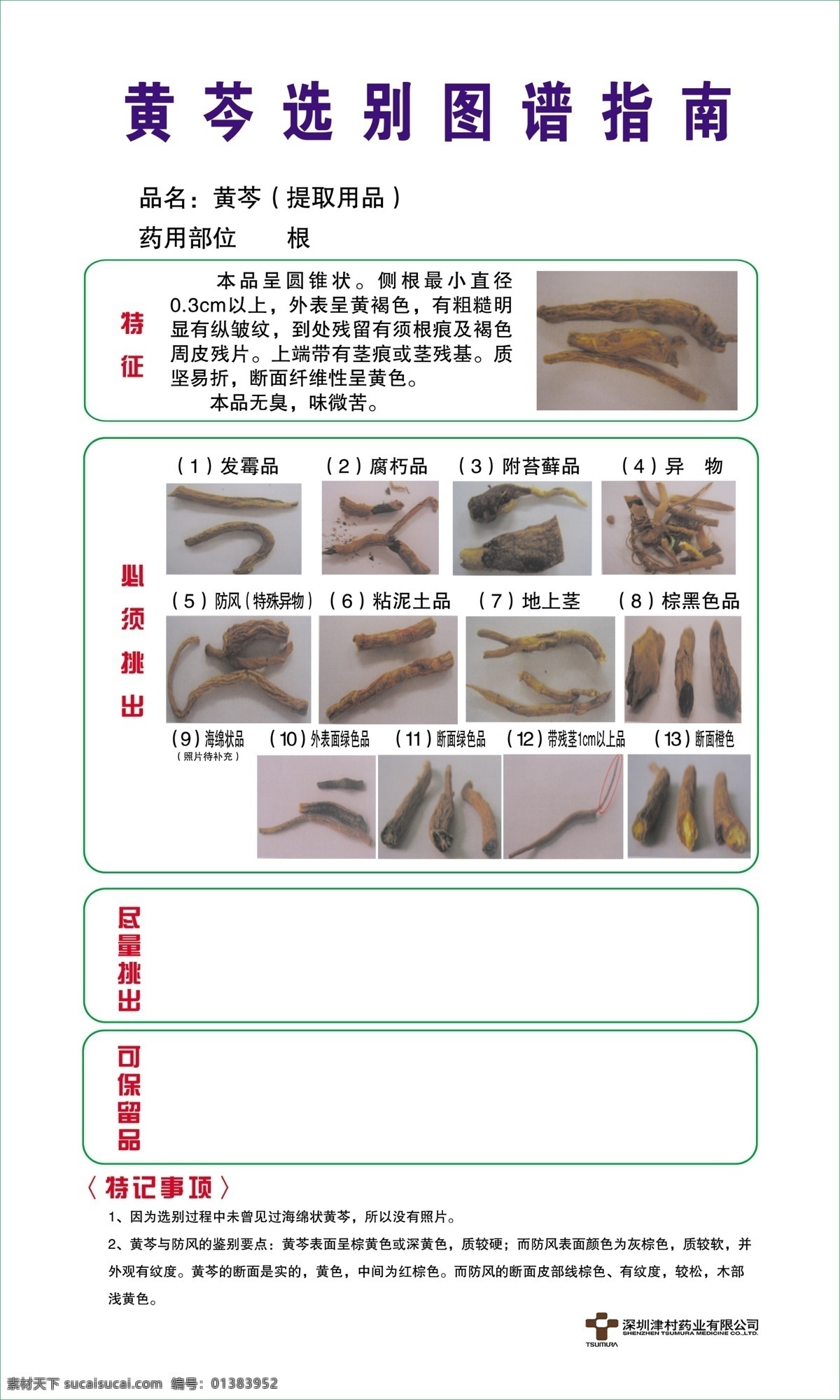 参考 广告设计模板 药品 源文件 展板模板 指南 黄芩药品展板 黄芩 选别 图谱 品名 异物 药物作用 图号参考 其他展板设计