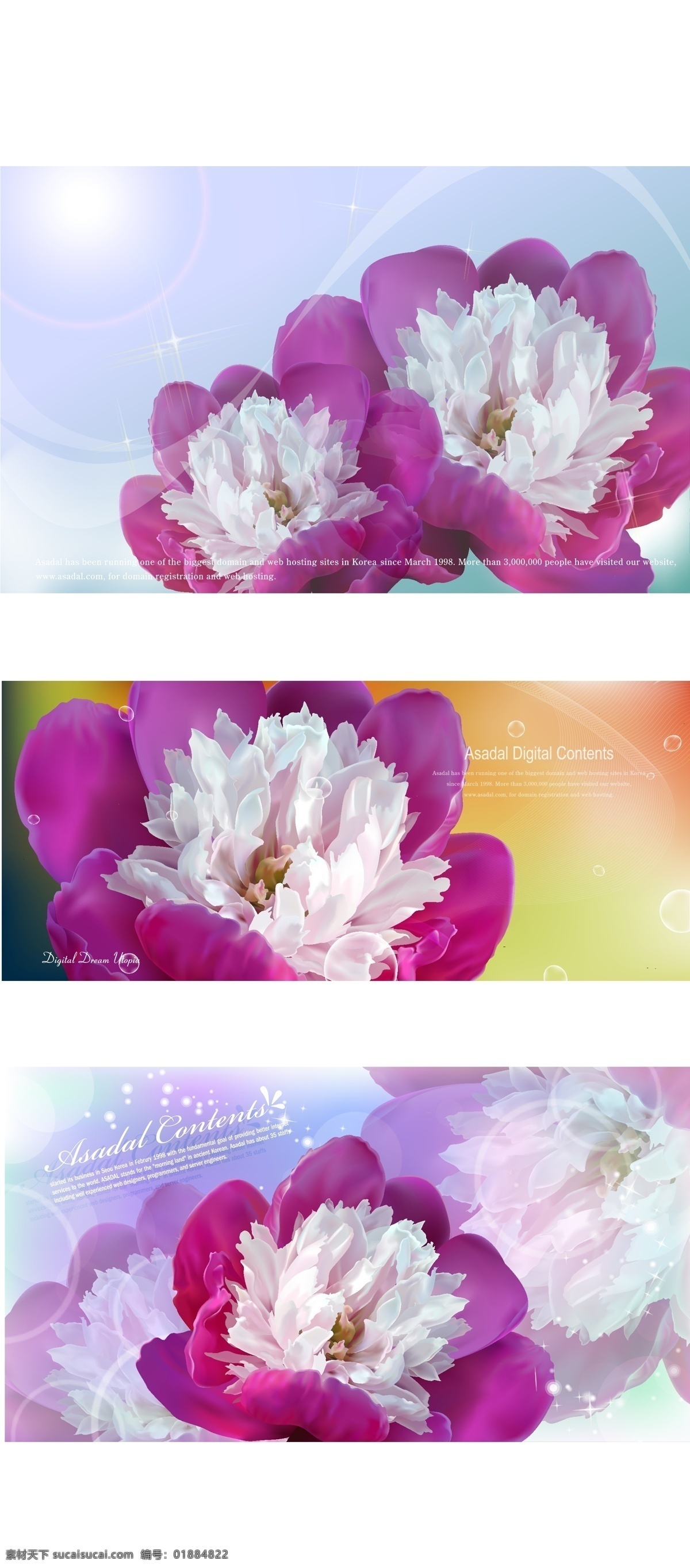 花朵 矢量 风景区 花 幻想 斑点的 紫色的 花朵矢量1 矢量图 其他矢量图