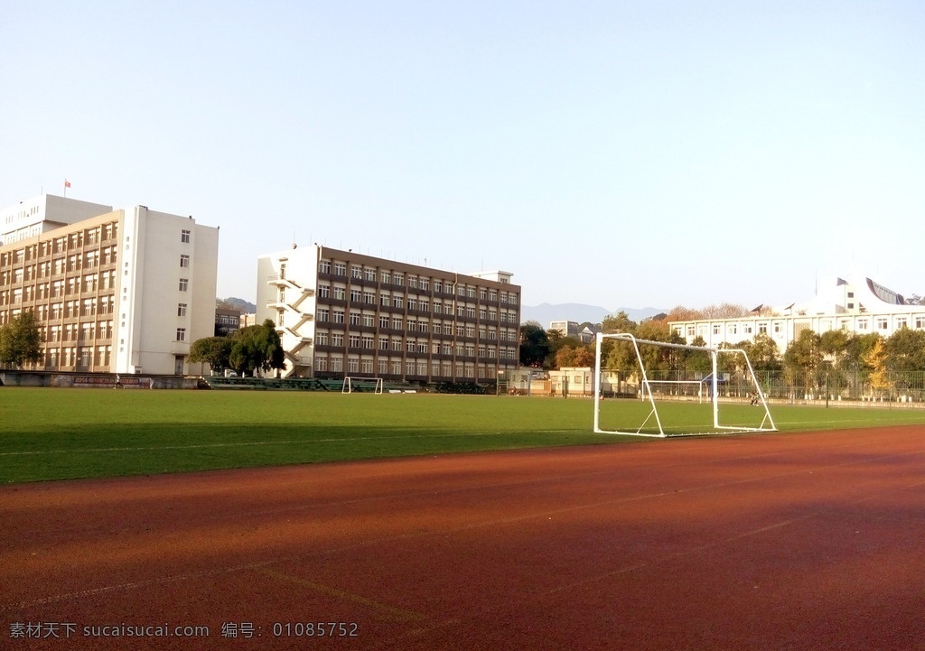 川农操场 操场 四川农业大学 雅安 林学楼 工学楼 足球场 教学楼 大树 天空 影子 阳光 篮球场 体育场 生活百科 生活素材