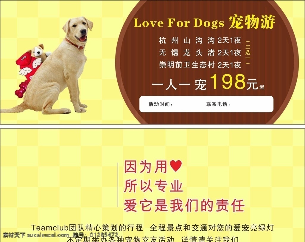 宠物 夏令营 俱乐部 狗 名片 卡片 精致 大气 宠物狗 dm宣传单