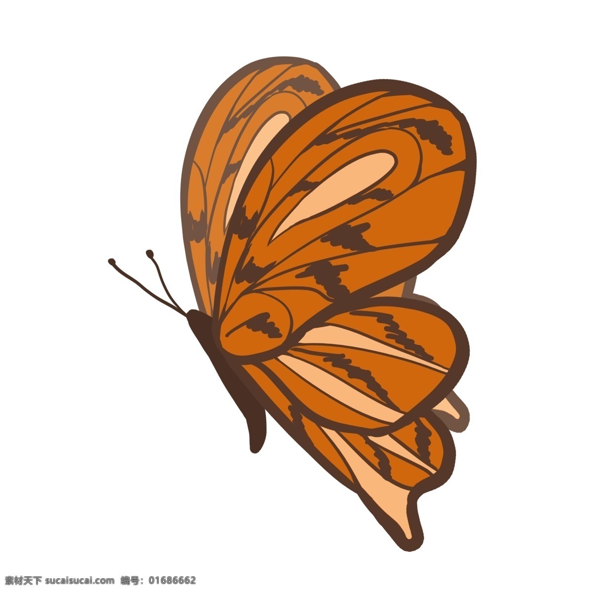漂亮蝴蝶 蝴蝶 可爱 昆虫 卡通 简洁 漂亮