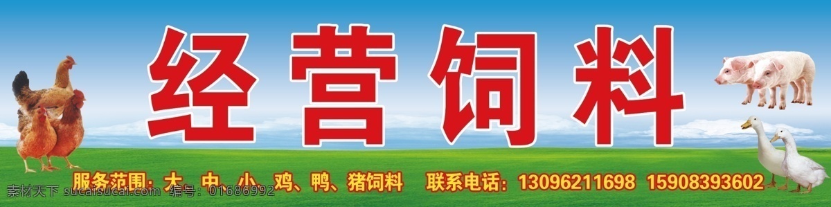 经营 饲料 招牌 海报 批发 宣传海报