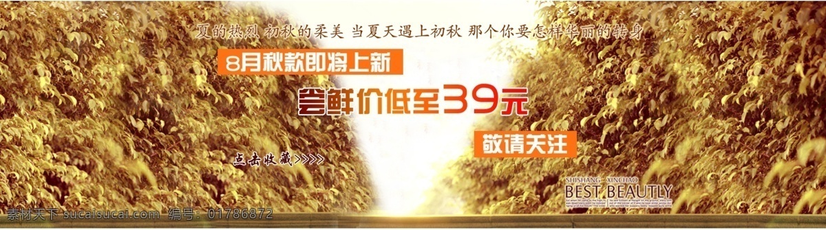 促销 价 39 元 淘宝 首页 促销海报 拍拍海报 淘宝促销 淘宝首页海报 网店海报 新品免费送 宝贝 模版
