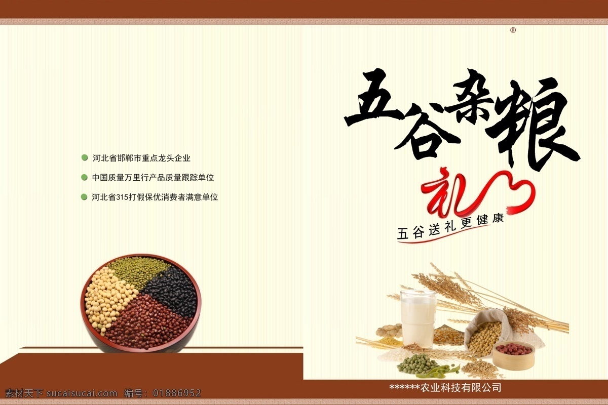 杂粮宣传封面 五谷 杂粮 宣传页 封面 宣传册 大豆 画册设计 广告设计模板 源文件