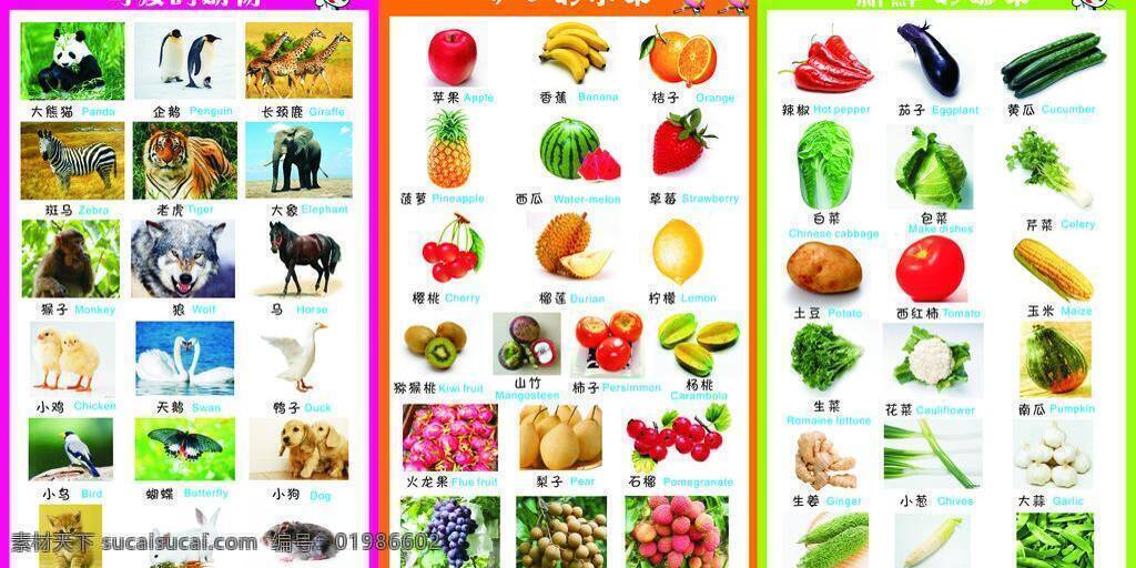 儿童 挂图 文化艺术 矢量 模板下载 儿童挂图 可爱动物挂图 可口的水果 新鲜的蔬菜
