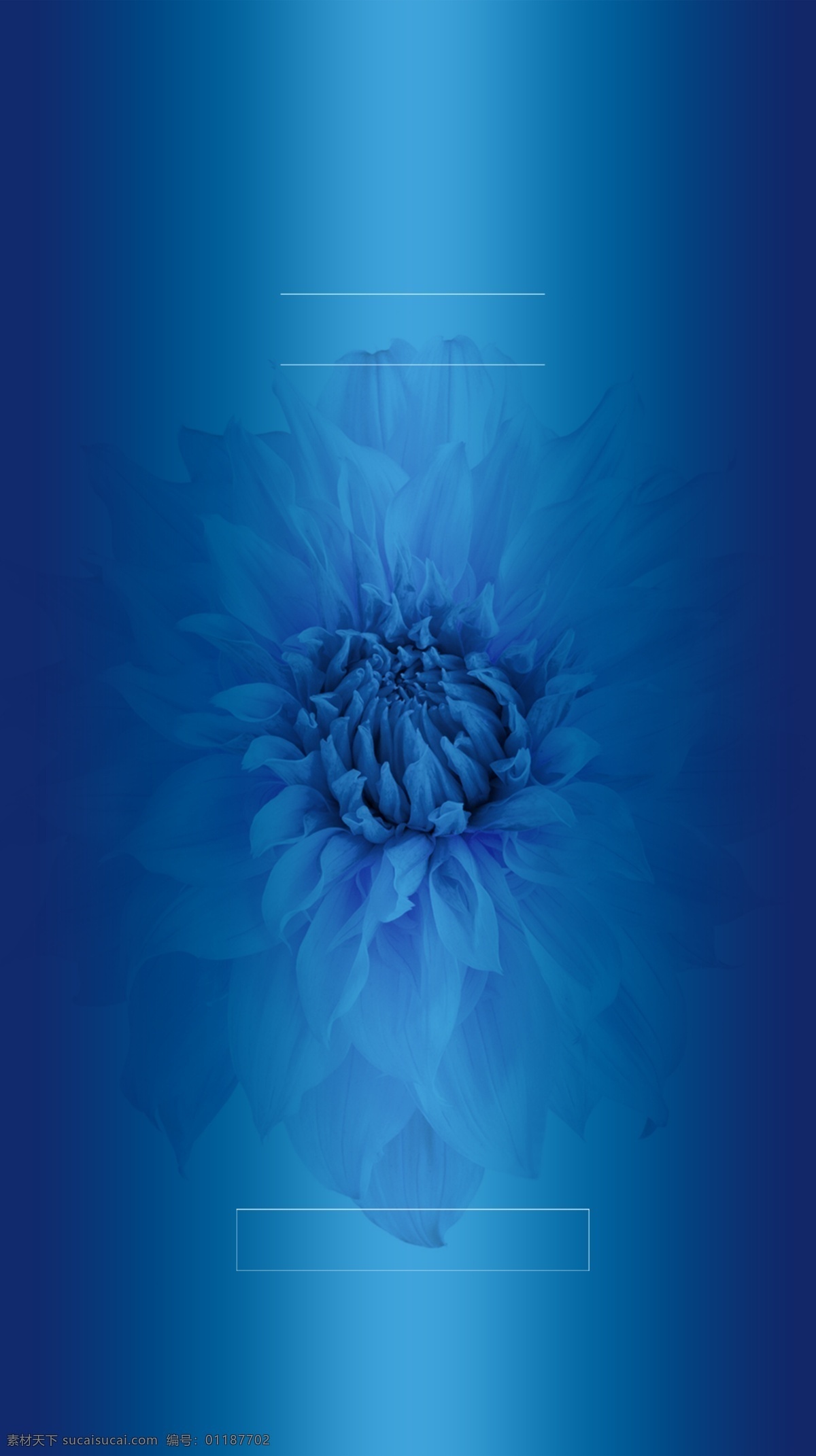 大气 深蓝 清爽 蓝色 产品 海报 h5 背景 大气风 简洁背景 产品海报 促销 蓝色背景 花朵 h5背景
