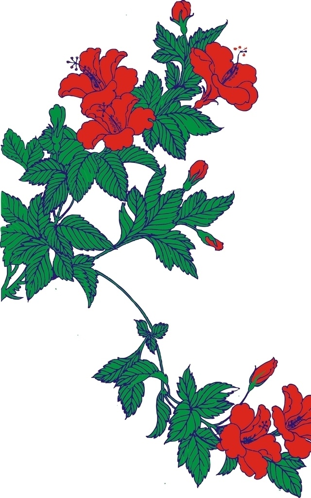 扶桑花 矢量图 植物 花朵 插画