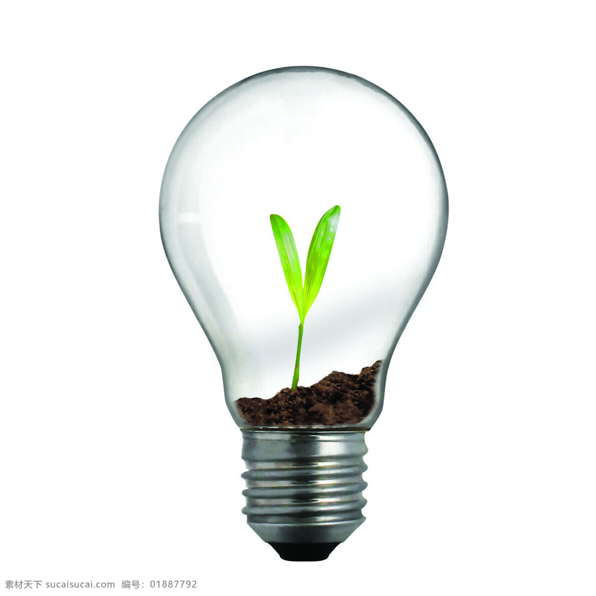 灯泡里的幼苗 能源概念 电灯泡 灯泡 绿色能源 环保能源 生态能源 洁净能源 可再生资源 能源环保 低碳 节能 螺纹 幼苗 生活用品 生活百科 白色