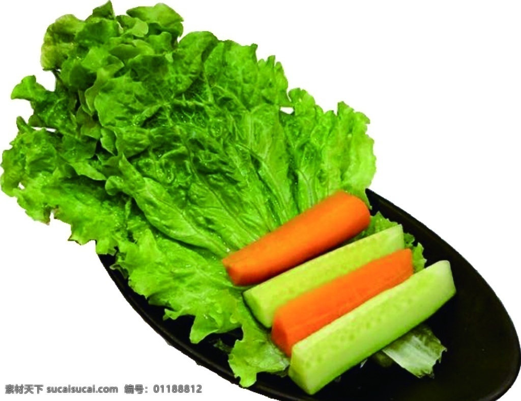 小菜 凉拌菜 田园时蔬 时蔬沙拉 什锦拌菜 蔬菜拼盘 蔬菜沙拉 菜图片