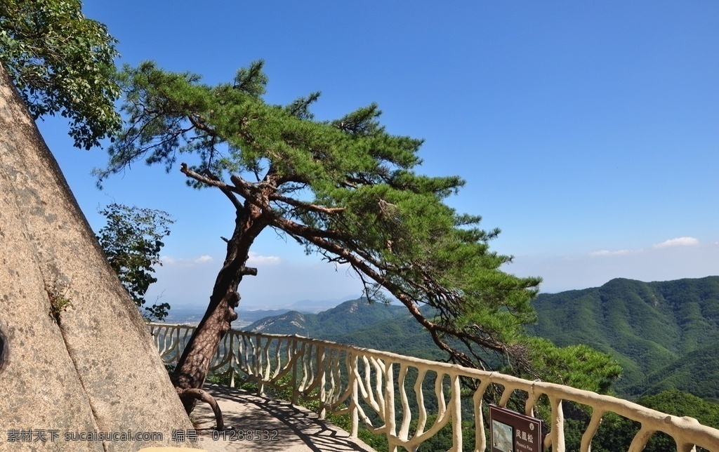 丹东 凤凰山 迎客松 蓝天 青松图片 青松 自然景观 自然风景
