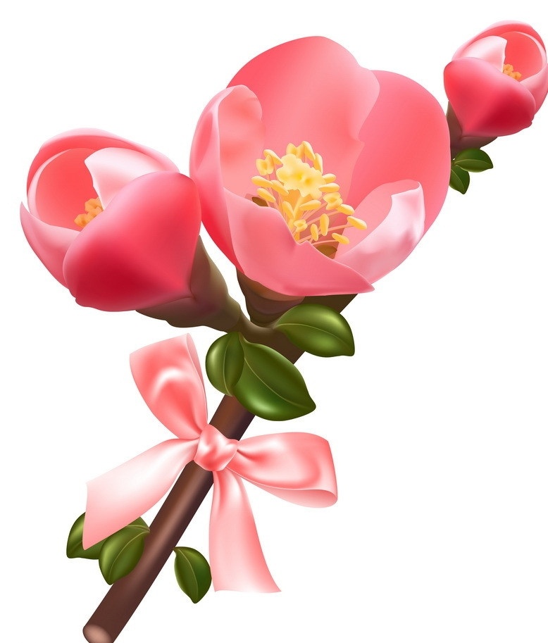 鲜花蝴蝶结 鲜花 花蕾 蝴蝶结 粉色 树枝 樱花 桃花 花朵 花卉 春天背景 春季背景 春天风景 盛开 绽放 美丽 灿烂 背景 草地 绿 草 花草 主题 生物世界 矢量