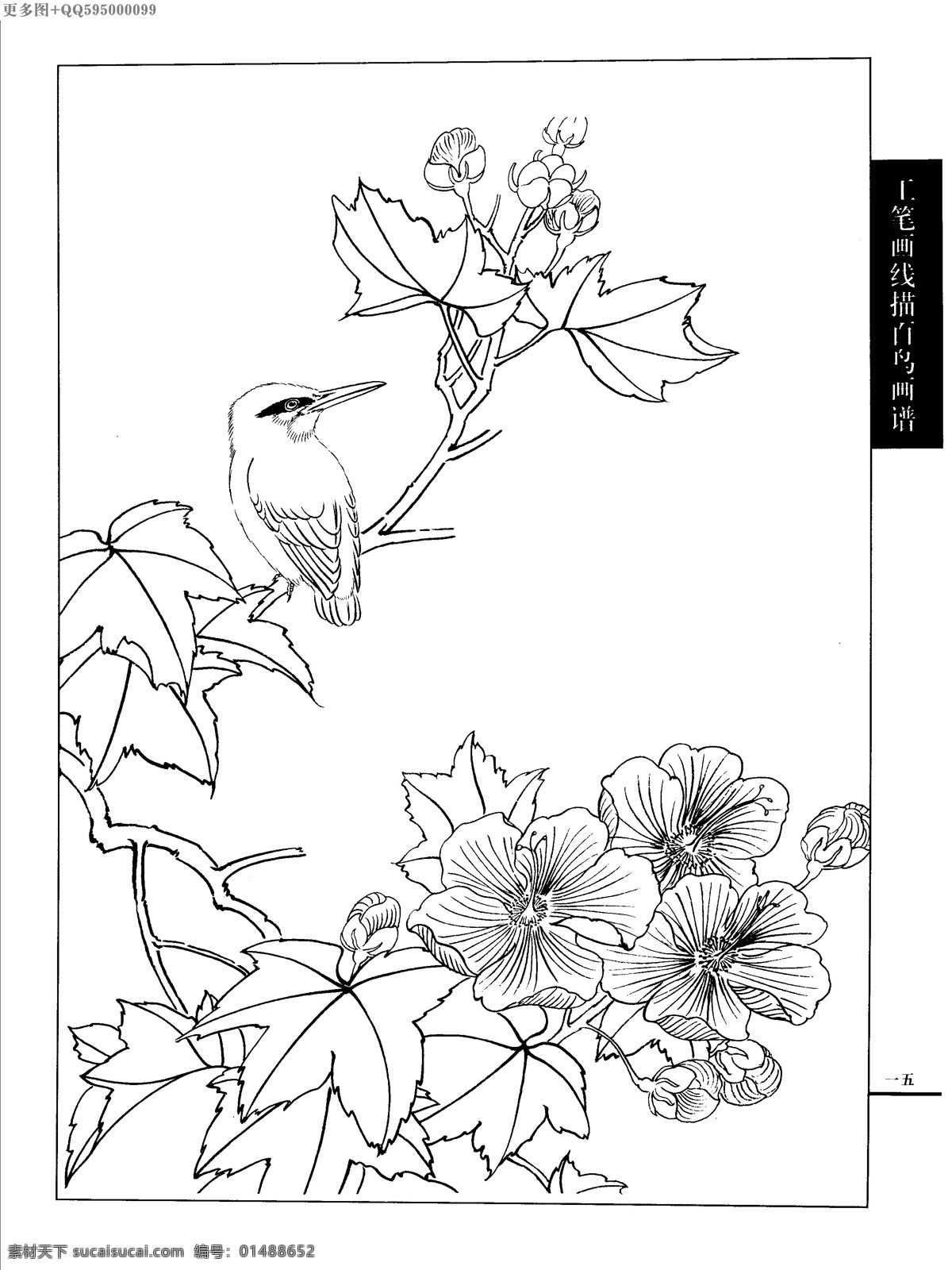 工笔画 线描 山水 画谱 水禽 白描 黑白稿 手绘 线描鸟 绘画 鸟 鹤 白描鸟 手绘鸟 家禽 鸭 鹅 鸳鸯 丹顶鹤 百鸟 水禽篇 绘画书法 文化艺术