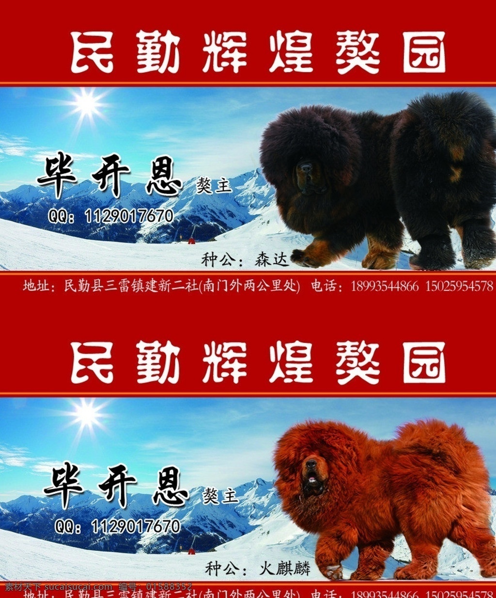 藏獒 藏獒名片 黑色藏獒 红色藏獒 雪山 藏獒园 名片卡片 广告设计模板 源文件