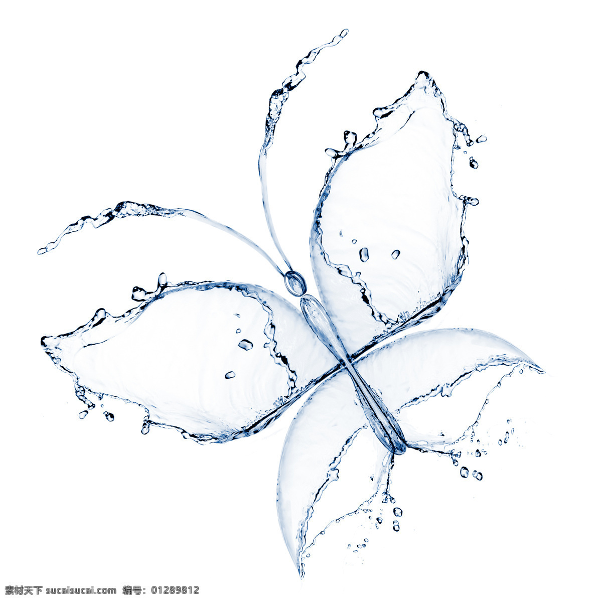 创意 水 组成 蝴蝶 图案 高清 大图 水滴