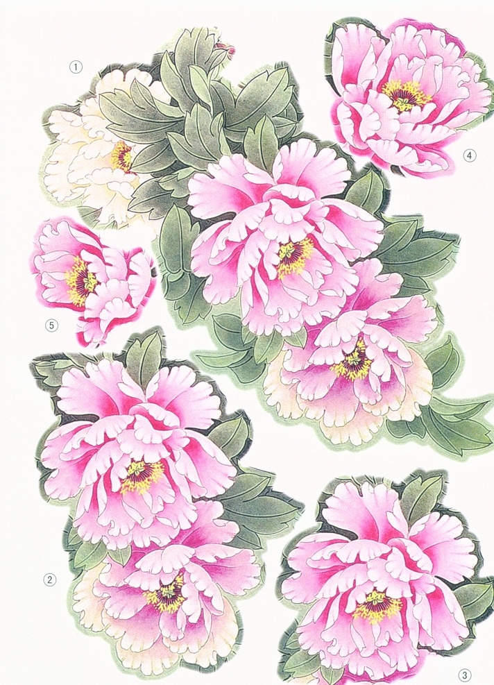 中国扇画 中国风 国画 水墨画 牡丹 国画花 底纹边框 背景底纹