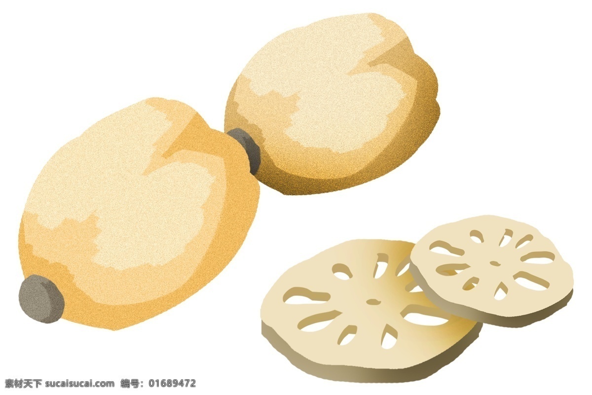 食 材 莲藕 藕片 插画 藕 莲菜 食材 切片莲藕 莲花 食物 莲菜插图 莲藕藕片插画