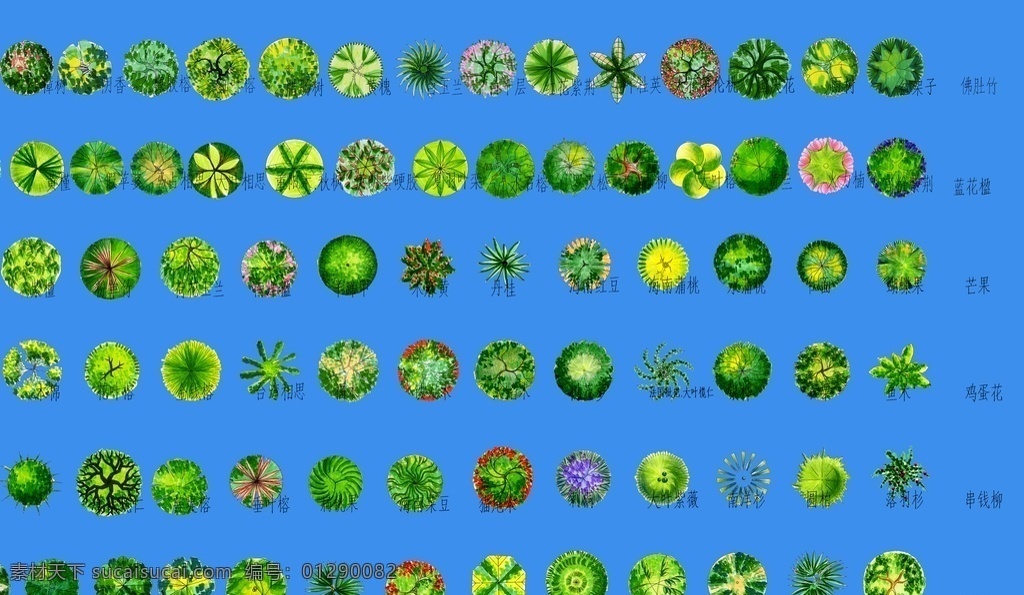 植物素材 乔木 效果图 效果图素材 园林 景观 园林效果图 景观效果图 1名片