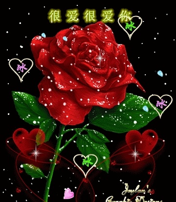 漂亮花 花朵 玫瑰 心型 gif动画 动漫动画 gif