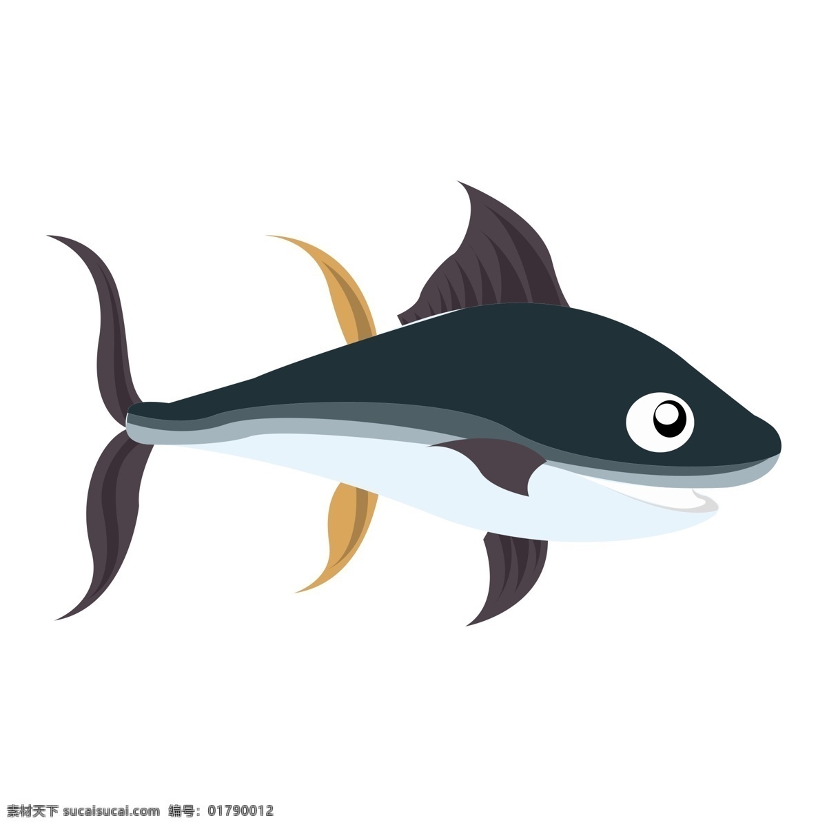 海豚海洋生物 海豚 海洋 生物