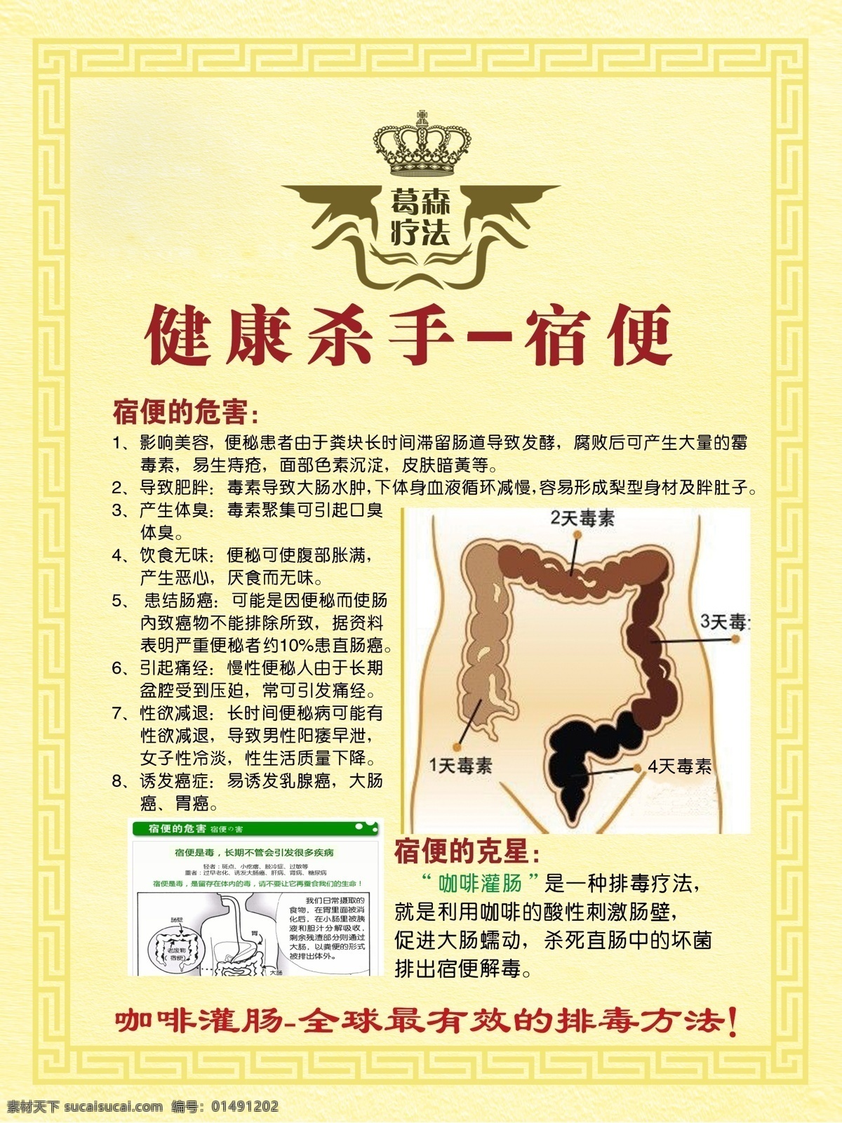 肝脏 海报 静脉 肝门静脉 咖啡 身体血液 葛森疗法