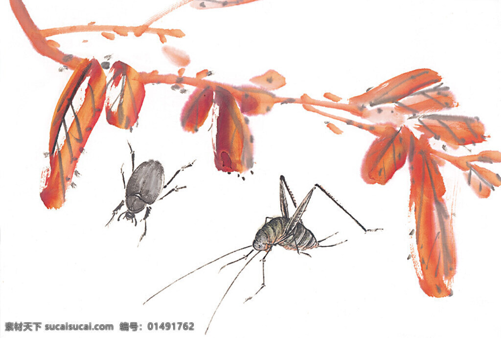 水墨画 蝗虫 昆虫 蚂蚱 蛐蛐 知了 中华艺术绘画 文化艺术
