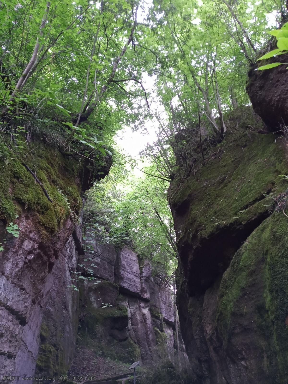 青山绿水 汉中 黎平森林公园 公园 青山 绿水 摄影作品 自然景观 山水风景