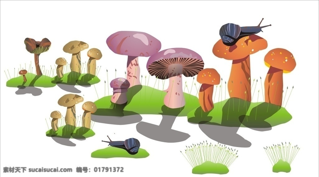 蘑菇 广告 写真 3d 3d打印 自然 蜗牛