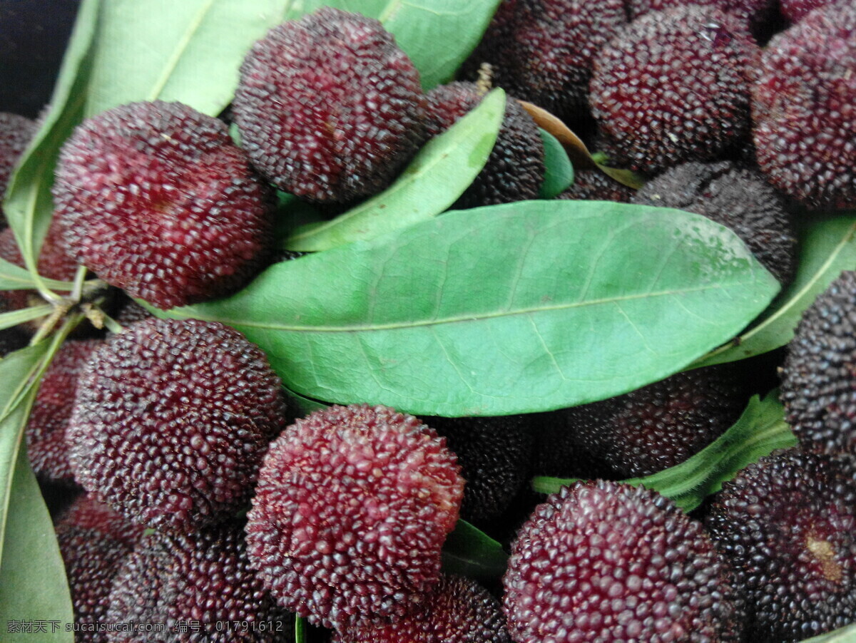 杨梅 超市 热带水果 生物世界 水果 水果蔬菜 新鲜
