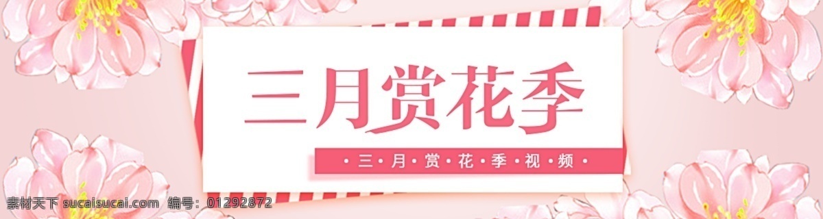 三月 赏花 视频 宣传 插画 促销海报 唯美 视频宣传 花