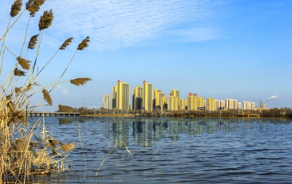 滨河大道风光 聊城风光 滨河大道 芦苇 开发区景色 水城景色 自然景观 自然风景