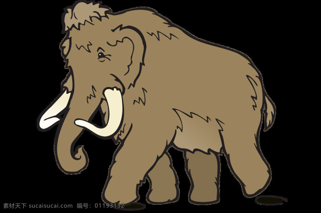 动物 彩色的 已灭绝的 乳齿象 巨型动物群 厚皮动物 史前 长毛猛犸象 白色