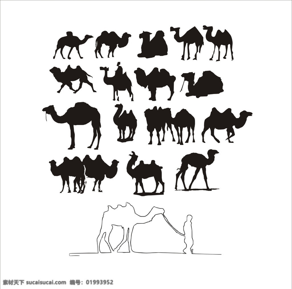 骆驼 骆驼剪影 剪影 动物 动物剪影 沙漠之神 陆地生物 矢量动植物