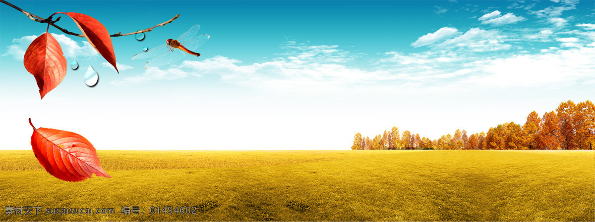 天空 黄色 草地 红色 落叶 淘宝 banner 背景