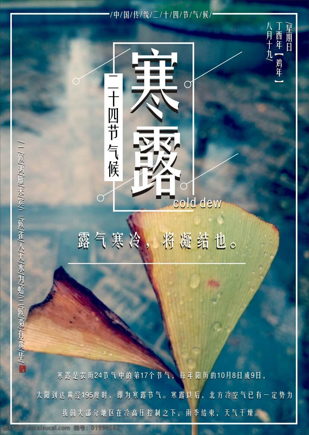 二十四节气候 寒露