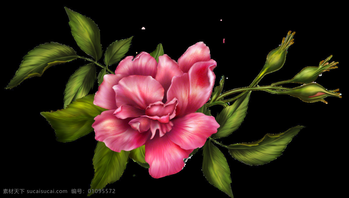 手绘花卉 花卉 鼠绘花 线条花 手绘线条花 鼠绘线条花 花线条 花经脉 彩绘花 欧式手绘花 欧式花设计 手绘装饰画 手绘花无框画 无框画 大花 彩色线条花 手绘花朵 手绘质感花卉 手绘花卉墙纸 复古花卉壁纸 电脑手绘花 花卉插画 花纹理 花朵 花朵纹理 服装花型 鲜花