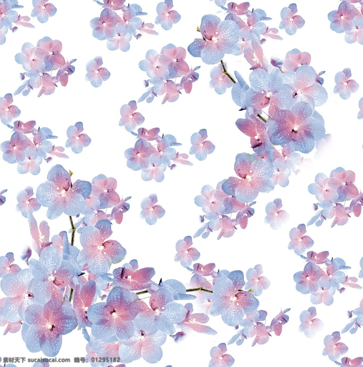 高清 矢量 分层图 蝴蝶兰 花朵 数码印花 底纹边框 花边花纹
