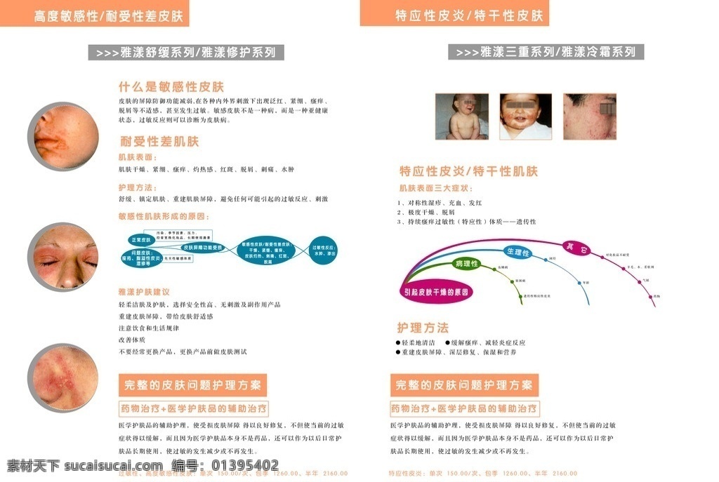 各类 皮肤 研究 问题 皮肤问题 彩页 皮肤问题图片 分层 源文件