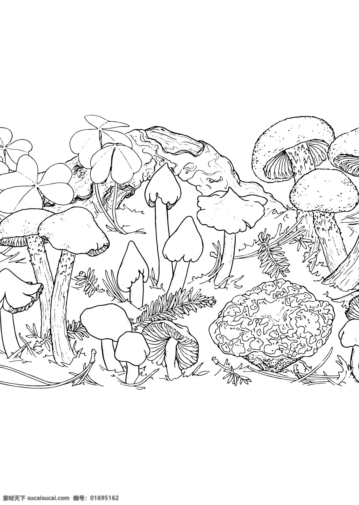 蘑菇线条画 蘑菇 菌类 线条画 素描 素描画 蘑菇素描 蘑菇线条 自然景观 自然风光