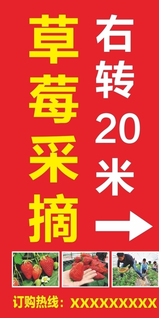 草莓采摘 草莓 草莓园 采摘草莓 摘草莓
