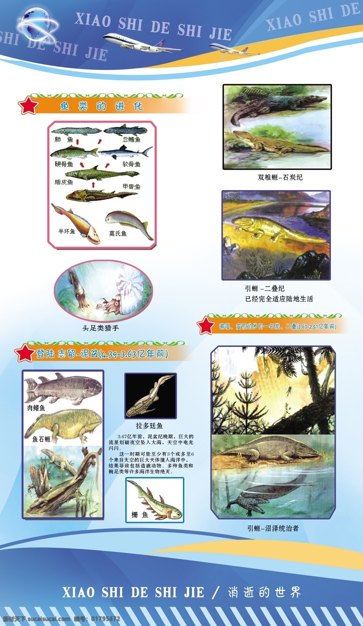 广告设计模板 校园文化 鱼 源文件 展板模板 消逝 世界 模板下载 消逝的世界 科技园 头足类猎手 拉多廷鱼 栅